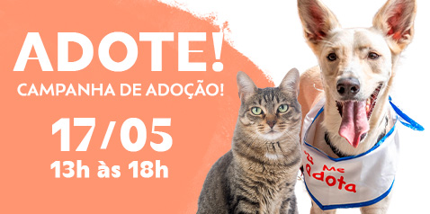 Campanha de Adoo Opa Rio e Felinos